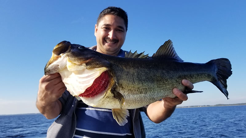 Orlando Fishing Monster Bass on Lake Toho in Central Florida