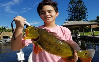 Quality Peacock Bass Fishing with Connecticut Natives in Florida
