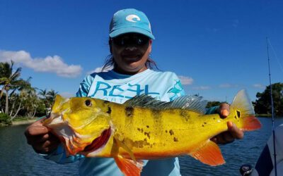 Florida Fishing Report with Recommended Peacock Fishing Captain