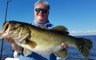 Artificial Big Bass Fishing on Lake Okeechobee out of Clewiston