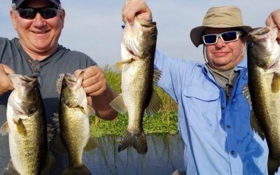 Group Bass Fishing on Lake Okeechobee out of Clewiston Florida
