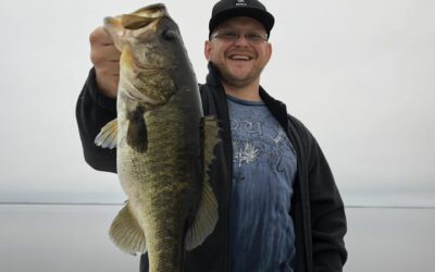 Schooling Kissimmee Largemouth Bass