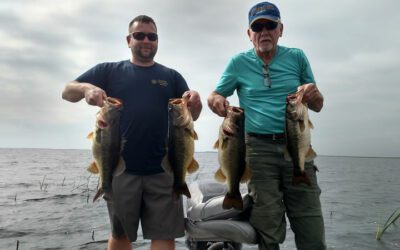 Swim Jig Bass Fishing on Lake Okeechobee in Okeechobee, Florida