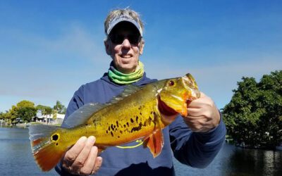 Super Peacock Fishing Day on the Lake Ida Chain of Lakes