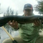 Markham Park thumbnail