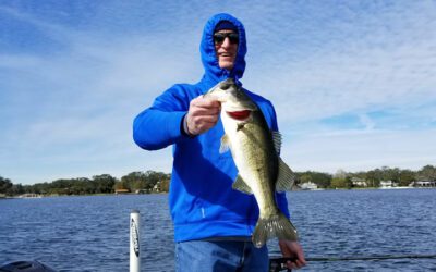 Swim Bait Bass Fishing on Lake Toho in Central Florida