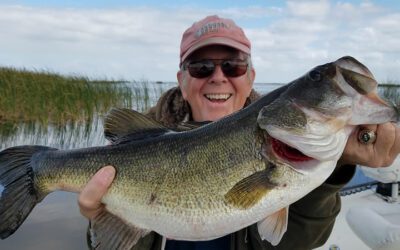Trophy Lake Okeechobee Bass out of Clewiston Florida