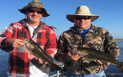 Top Water Fishing Searching for Florida Largemouth Bass