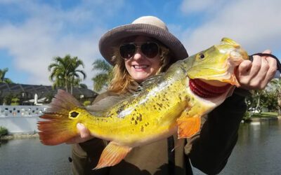 Super Nice Fishing Day in Miami Florida for Peacock Bass