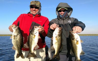 Winter Months Bass Fishing Trip on Lake Okeechobee in Clewiston