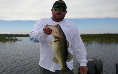 Florida Grass Fishing for Lake Okeechobee Largemouth Bass