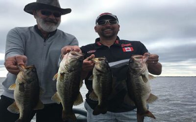 Artificial Florida Fishing Trip while Lake Okeechobee Fishing