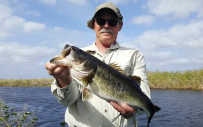 Exploring Glades Bass Fishing While Visiting South Florida