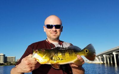 Airport Main Lake Fishing for Peacock Bass in Miami Florida