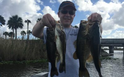 Beautiful Florida Fishing Trip in the Everglades Catching Largemouth Bass