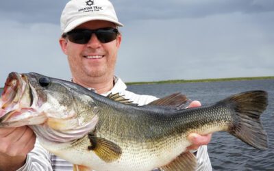 Big Female Bass Fishing on Lake Okeechobee out of Clewiston Fl