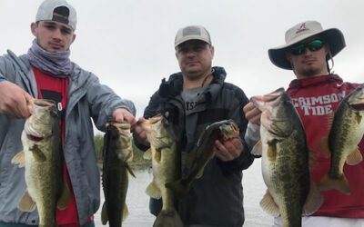 Clean Water Fishing on Lake Okeechobee for Florida Bass