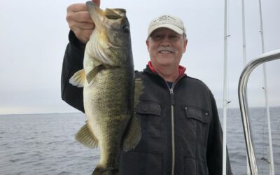 Early Morning Shiner Fishing in Kissimmee Florida on Lake Toho