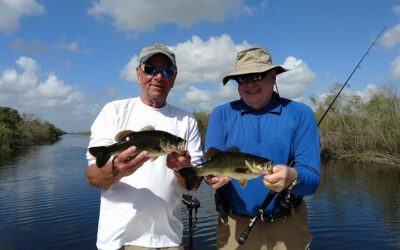 Everglades Canal Bass Fishing in South Florida with Artificial Baits