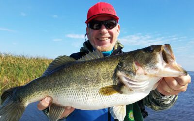 Largemouth Bass Spawn: The Ultimate Guide
