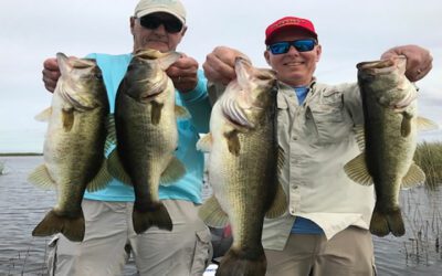 Golden Shiner Fishing Charter on Lake Okeechobee in Florida