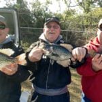 Lake Harding thumbnail