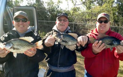 How To Fish For Crappie