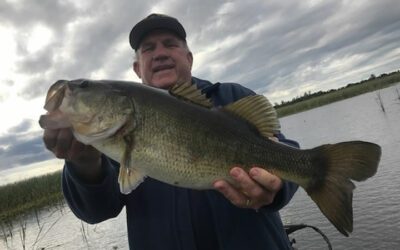 Lake Okeechobee Grass Fishing for Largemouth Bass out of Clewiston