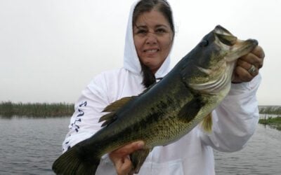 March Bass Fishing on Lake Okeechobee in Okeechobee City Florida