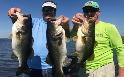 Kissimmee River Fishing Charter on Lake Okeechobee
