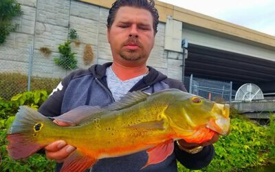 Florida Rain Storm Fishing for Peacock Bass in Miami