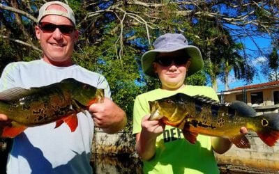 Awesome Fishing Charter for Peacock Bass in Miami Florida