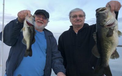 Furious Kissimmee Fishing on Lake Toho for Florida Largemouth Bass
