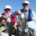 California Delta thumbnail