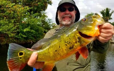 Misty Fly Fishing Trip for Miami Florida Peacock Bass