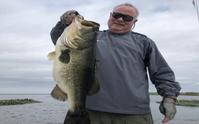 Two Central Florida Trophy Largemouth Bass on Florida Lakes