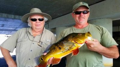 Miami Exotic Bass Fishing at Airport Lakes