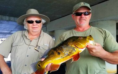 Miami Exotic Bass Fishing at Airport Lakes