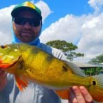 Lake Osborne thumbnail