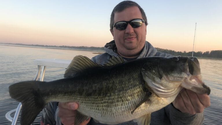 Toho Artificial Bait Fishing