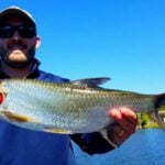 Miami Falls Canal thumbnail