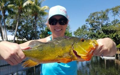 South Florida Bass Fishing Charter in Urban Lakes and Canals