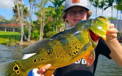 South Florida Peacock Bass Fishing with Captain Robert Miley