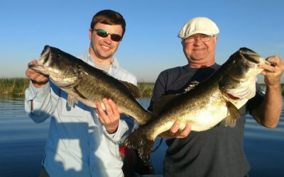Summer Lake Okeechobee Fishing for Florida Largemouth Bass