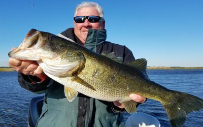 Lake Okeechobee Trophy Bass Fishing Charters in Florida