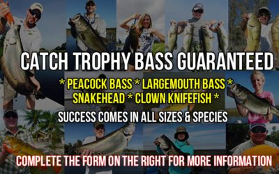 Top 10 Best South Florida Bass Charters