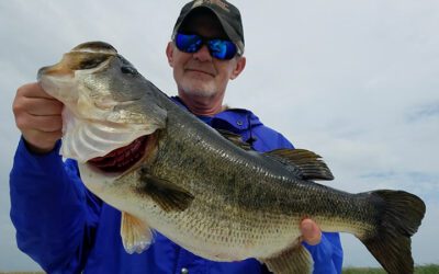 Summer Clewiston Bass Fishing Charter