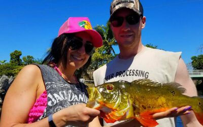 Summer Exotic Bass Fishing in Miami Florida