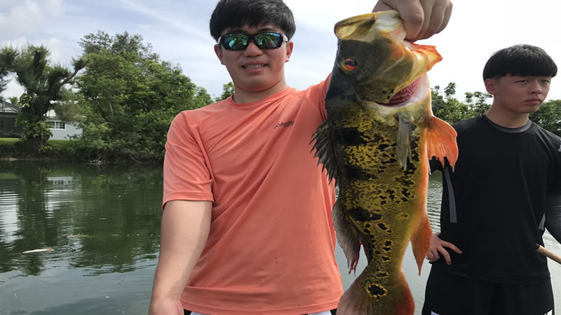 Urban Miami Peacock Bass Fishing 1