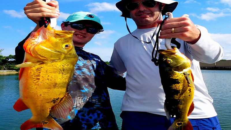 Urban Miami Peacock Bass Fishing 2